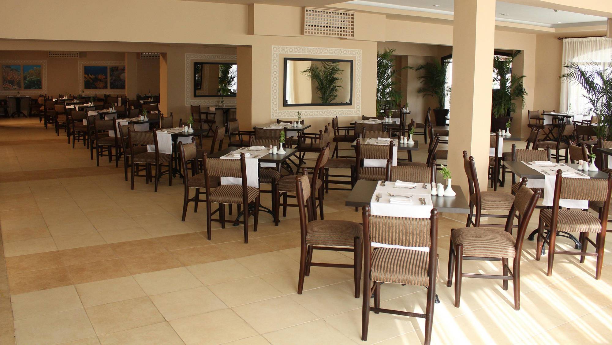 Jaz Neo Naama Bay Otel Şarm El-Şeyh Dış mekan fotoğraf