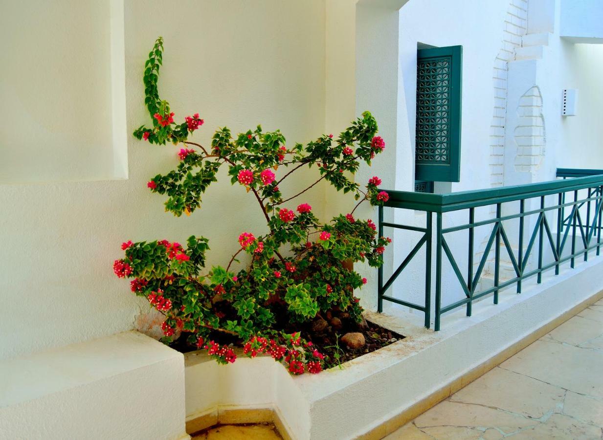 Jaz Neo Naama Bay Otel Şarm El-Şeyh Dış mekan fotoğraf